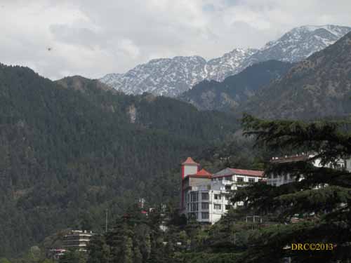 The Himalaya at McLeod Ganj